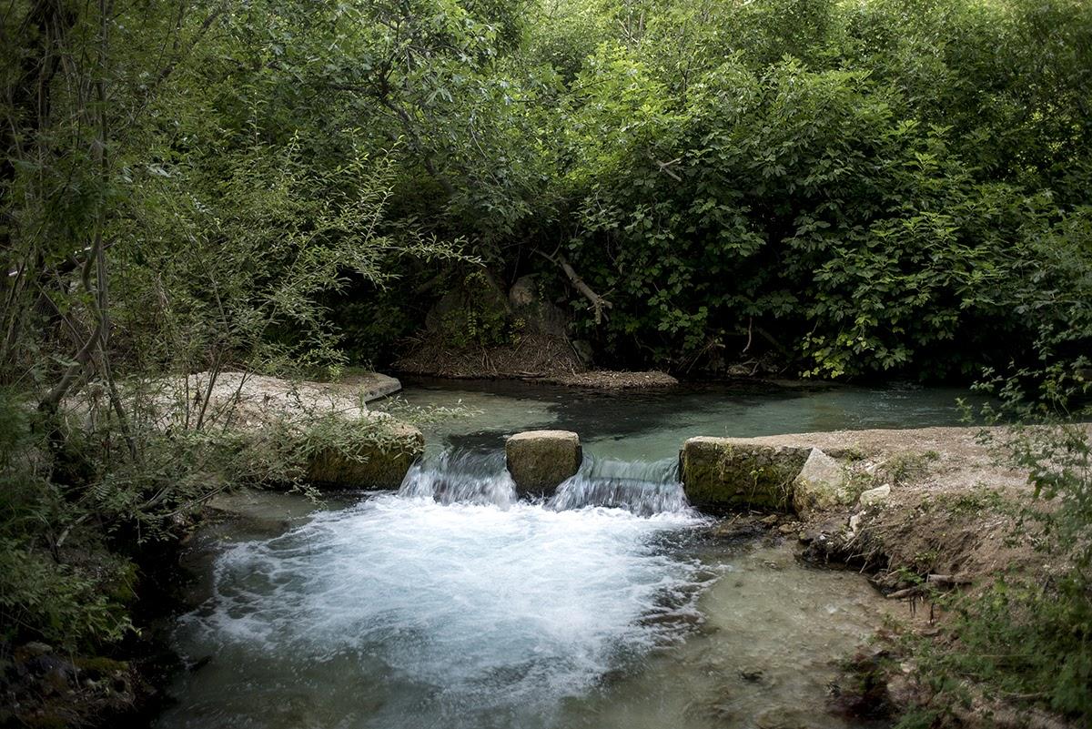 Peralta en Pozo Alcón (Jaén)