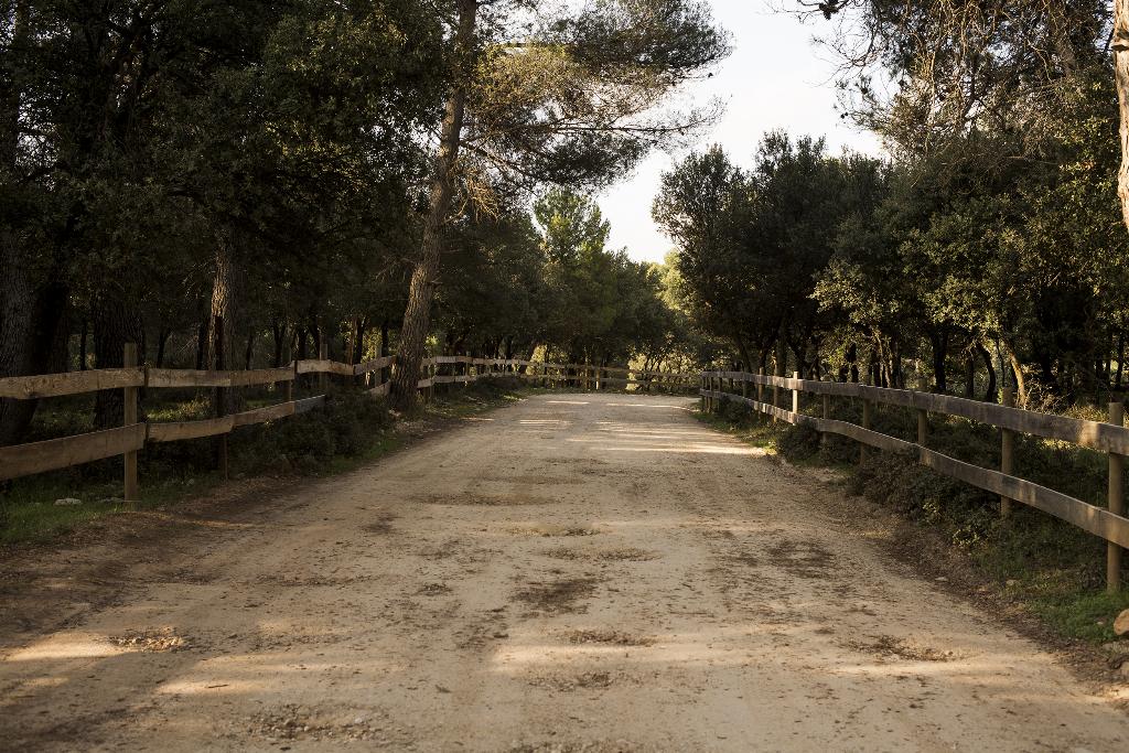 Sierra del Pozo en Pozo Alcón (Jaén)