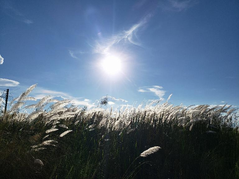 La WMO confirma que el clima en febrero ha sido inusualmente cálido